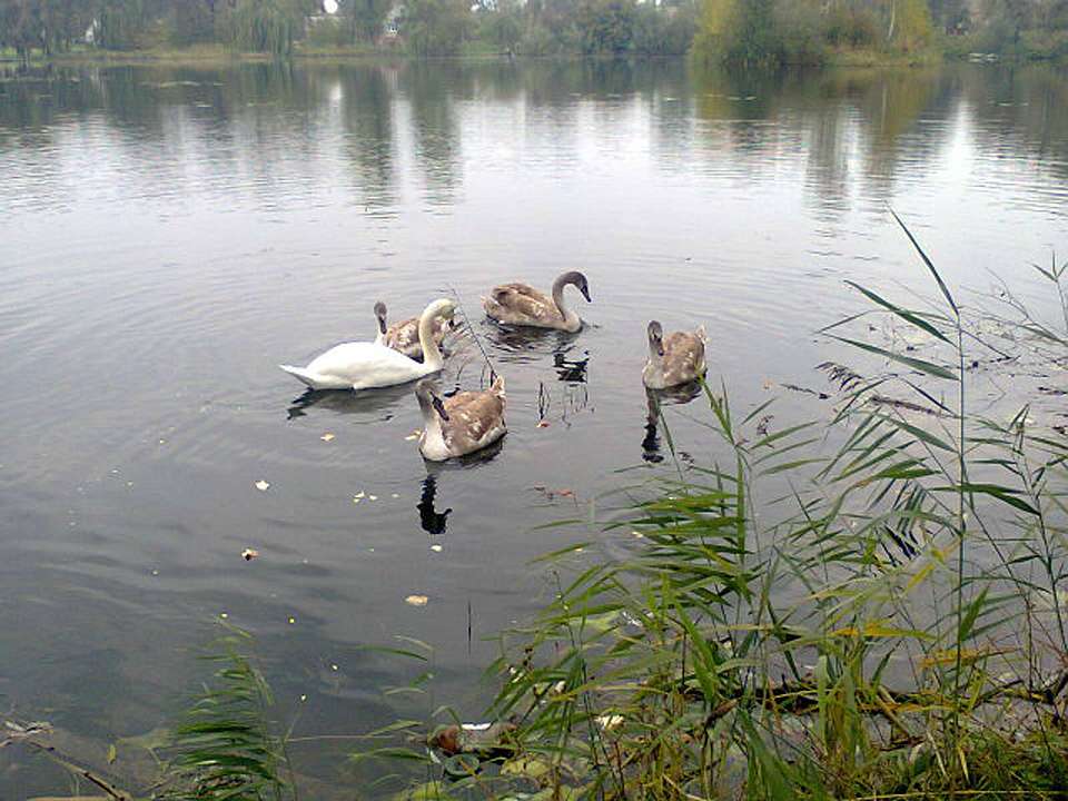 Любе село - Миролюбівка