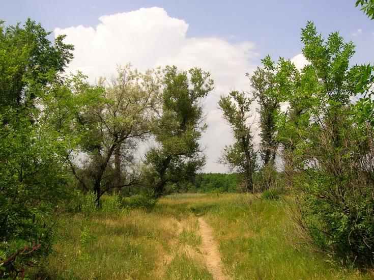 Щастя з panoramio.com - Счастье