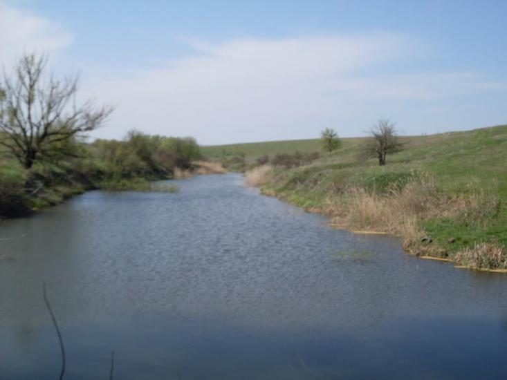 Куна з panoramio.com - Kuna