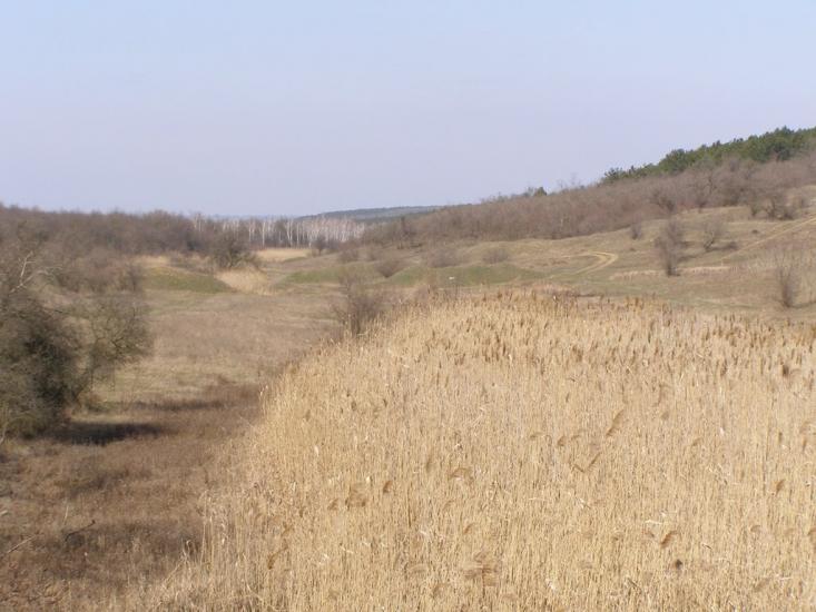 Дачне з panoramio.com - Дачное
