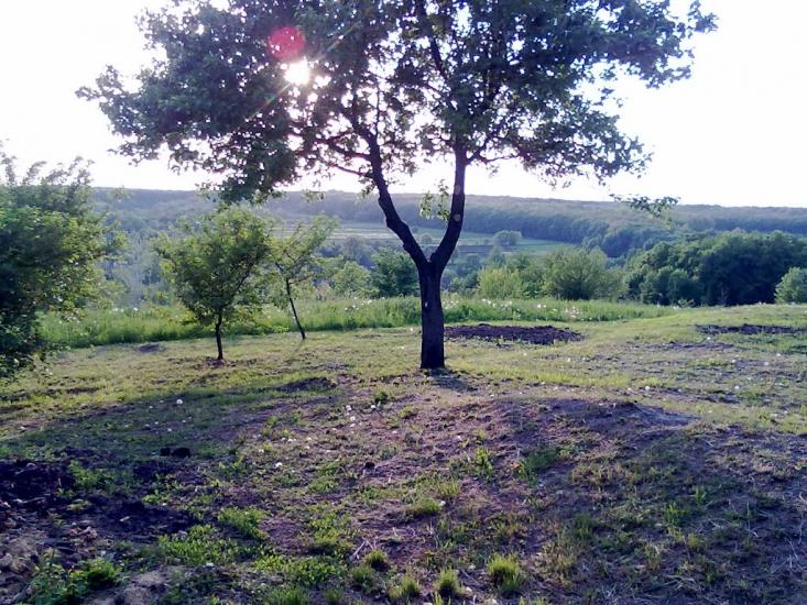 Володимирівка з panoramio.com - Володимирівка