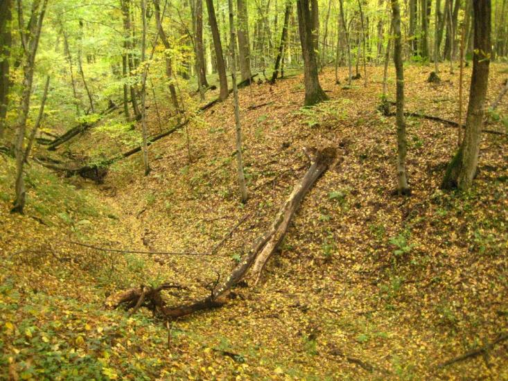 Пасіки-Зубрицькі з panoramio.com - Пасеки-Зубрицкие