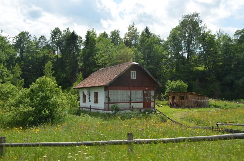 Старий Кропивник з panoramio.com - Старий Кропивник