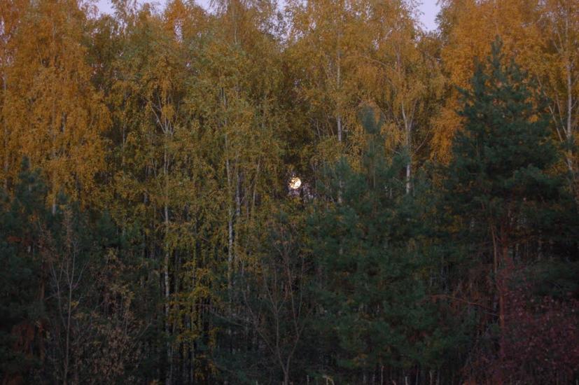 Хоцьки з panoramio.com - Хоцки