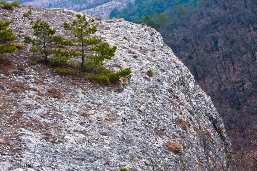 Тургенєвка з panoramio.com - Тургенєвка