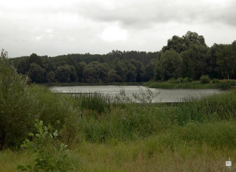 Чернеччина з panoramio.com - Чернеччина
