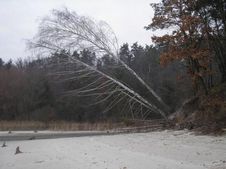 Забір'я з panoramio.com - Zabirya