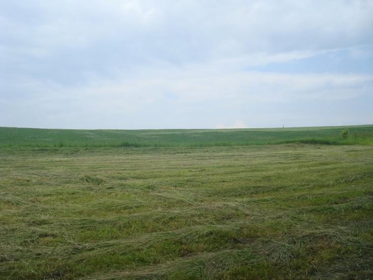 Городище з panoramio.com - Городище