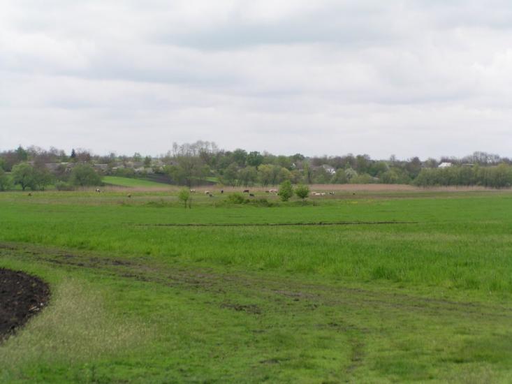 Іванівка з panoramio.com - Ivanivka