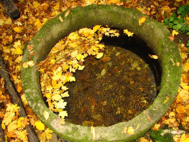 Іванківці з panoramio.com - Іванківці