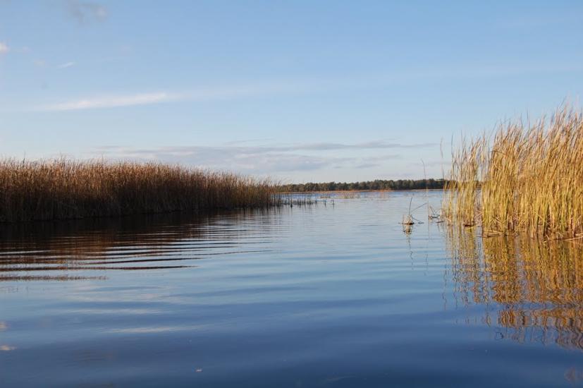 Хабарище з panoramio.com - Хабарище