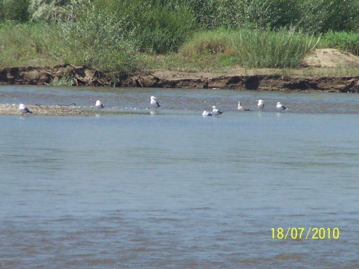 Старе Село з panoramio.com - Старое Село