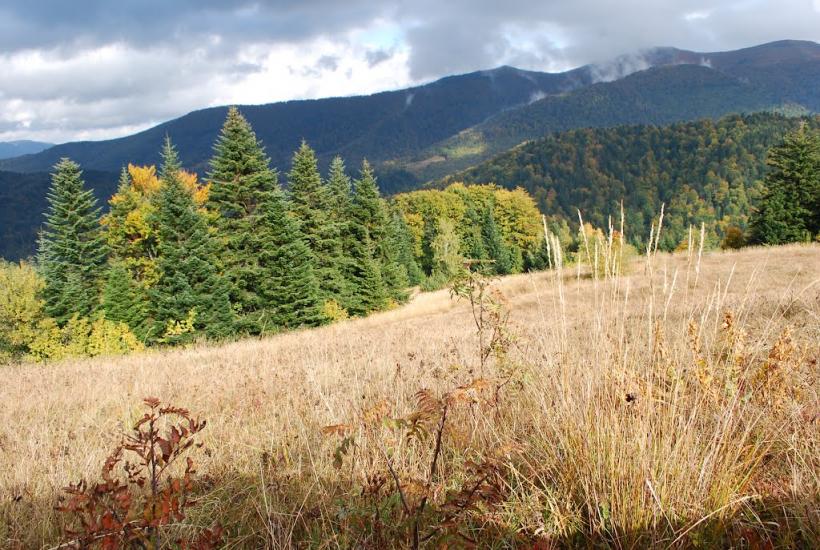 Сіль з panoramio.com - Соль