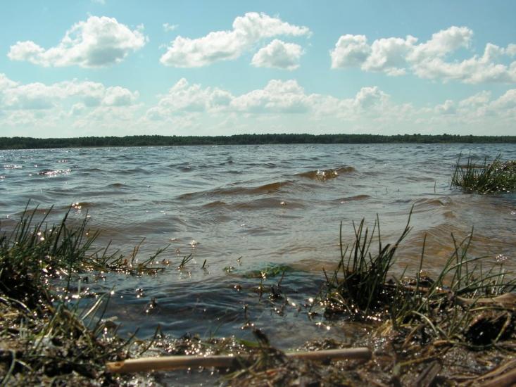 Шацьк з panoramio.com - Шацк