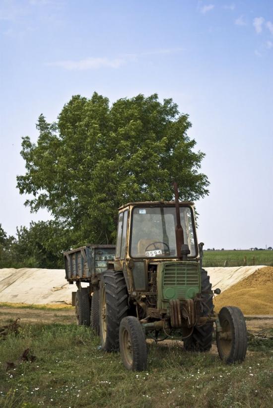 Вітине з panoramio.com - Витино
