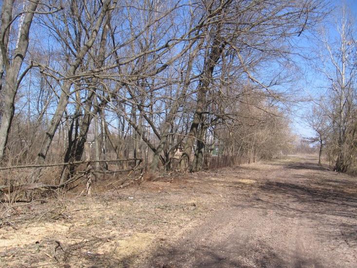 Малинівка з panoramio.com - Малиновка