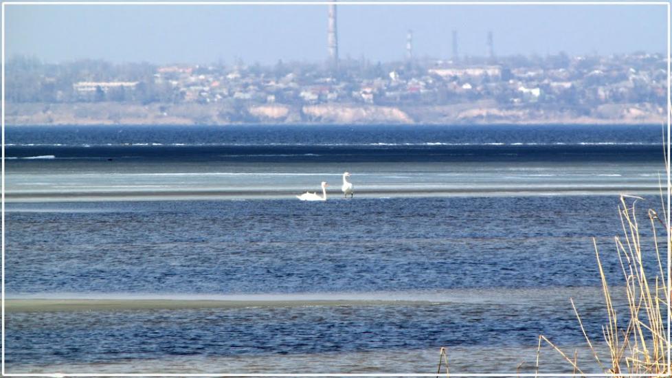 Кам'янка-Дніпровська з panoramio.com - Каменка-Днепровская