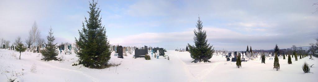 Зіньків з panoramio.com - Зиньков