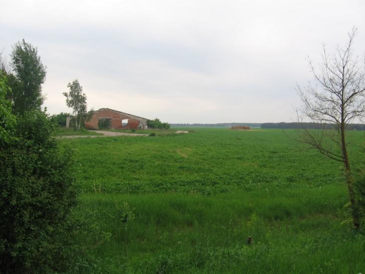 Халявин з panoramio.com - Халявин