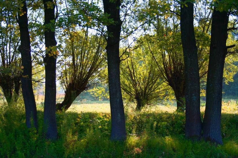 Нижня Мануйлівка з panoramio.com - Нижняя Мануйловка