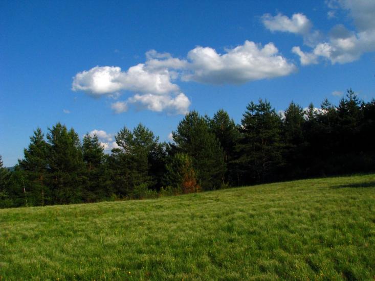 Бусовисько з panoramio.com - Бусовиско
