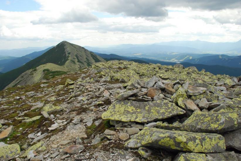 Черник з panoramio.com - Черник