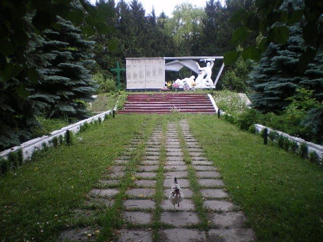 Черепашинці з panoramio.com - Cherepashyntsi