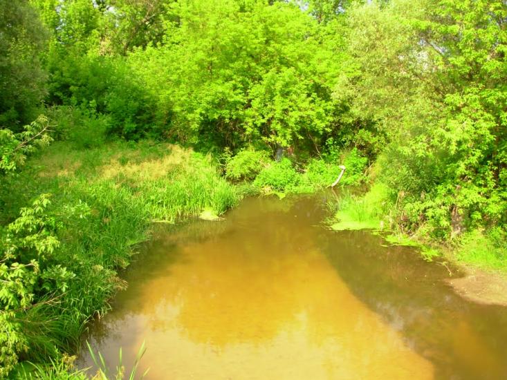 Солоницівка з panoramio.com - Солоницівка