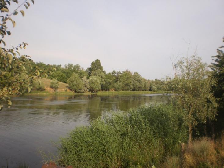 Велика Лепетиха з panoramio.com - Велика Лепетиха