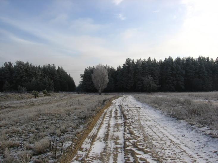 Мигалки з panoramio.com - Мигалки