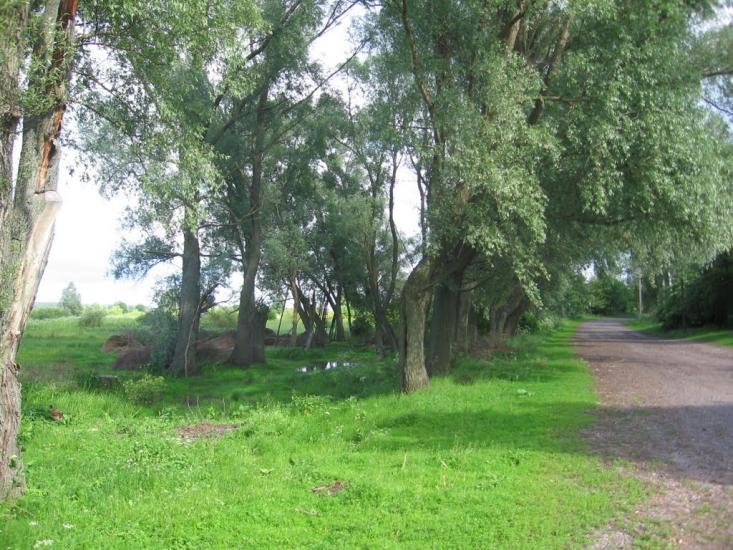 Терехівка з panoramio.com - Тереховка