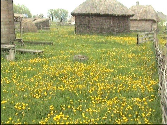 Матяшівка з panoramio.com - Матяшівка