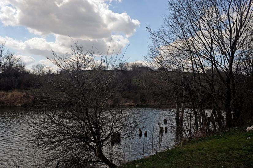 Новгородське з panoramio.com - Новгородське
