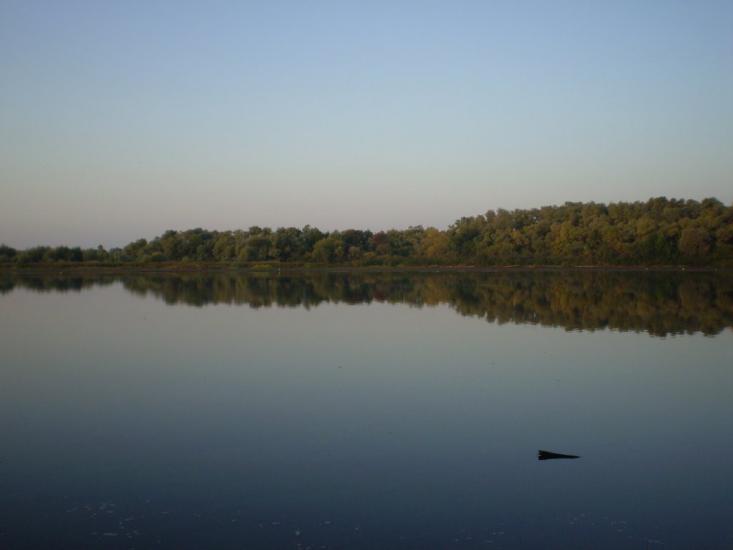 Прохорівка з panoramio.com - Прохорівка