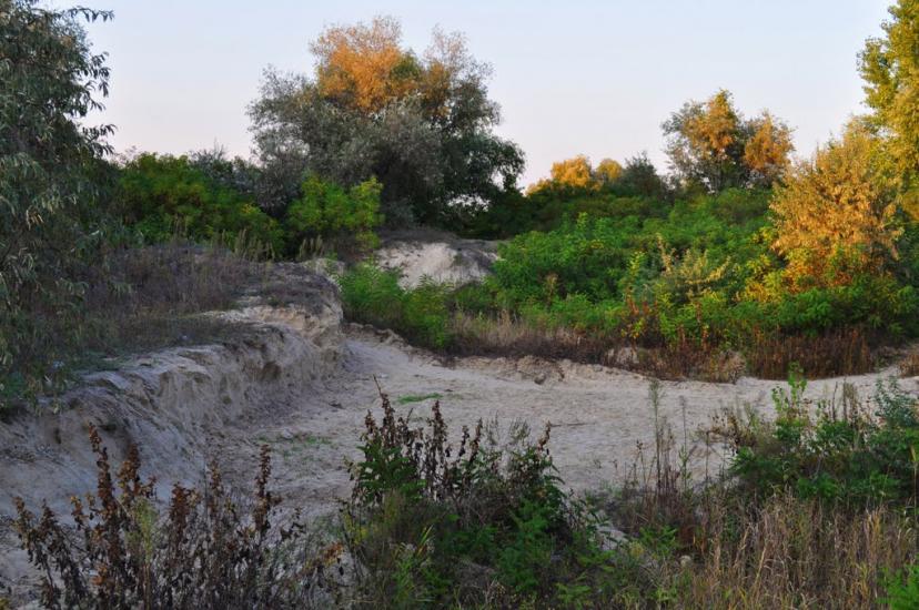 Комишани з panoramio.com - Комишани