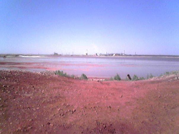 Лимани з panoramio.com - Лимани