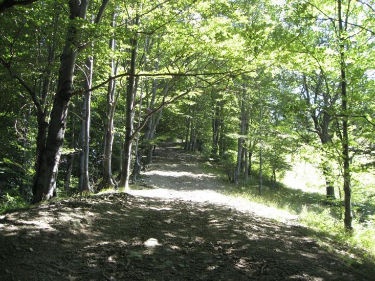 Бабин з panoramio.com - Бабин
