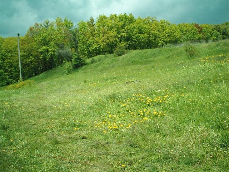 Кулиничі з panoramio.com - Кулиничі