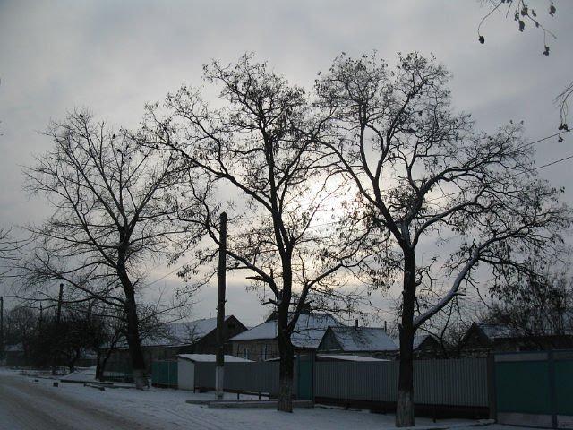 Дачне з panoramio.com - Дачне