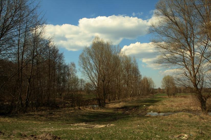 Вища Дубечня з panoramio.com - Высшая Дубечня
