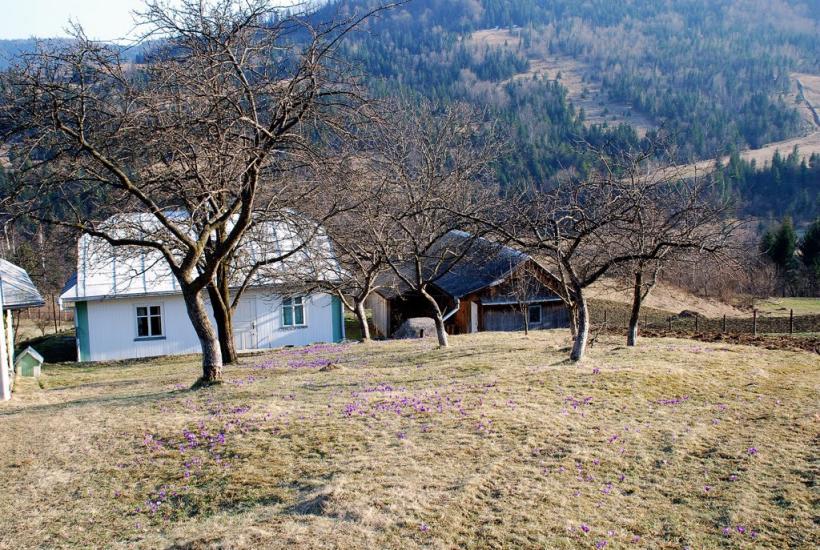 Кричка з panoramio.com - Krychka