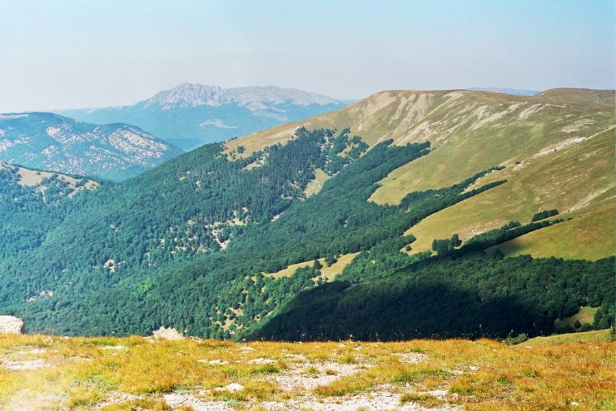Підгородне з panoramio.com - Подгороднее
