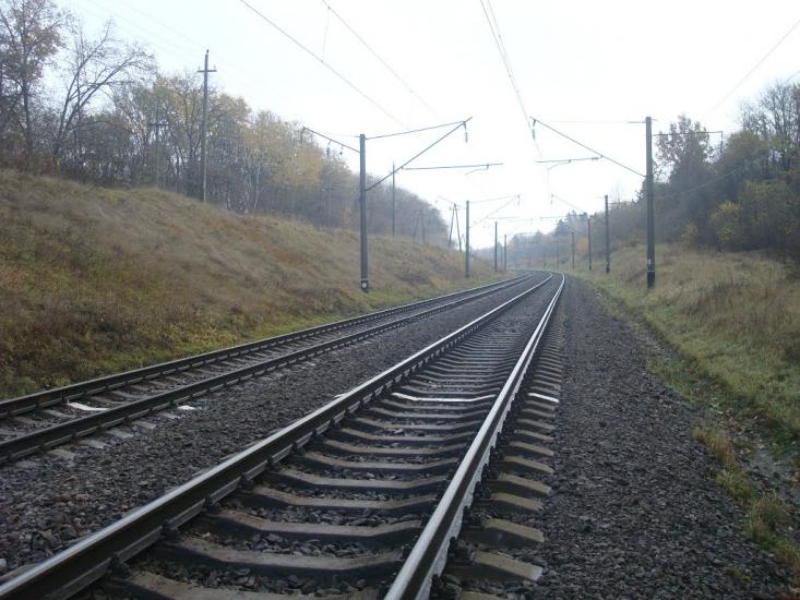 Рідкодуби з panoramio.com - Рідкодуби