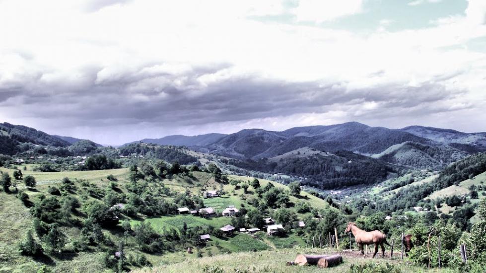 Соколівка з panoramio.com - Соколовка
