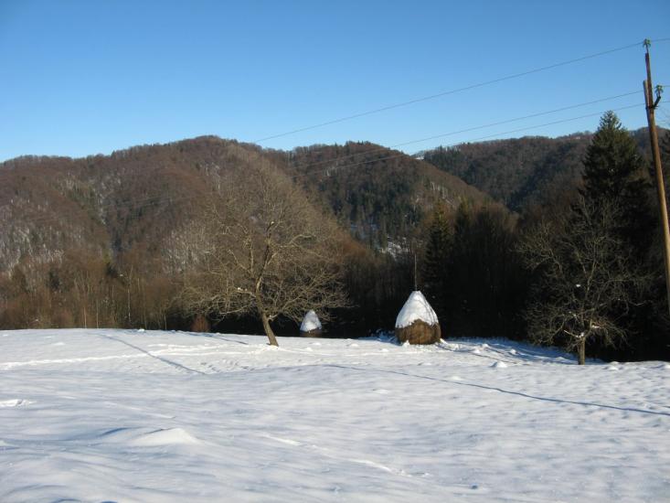 Розтоки з panoramio.com - Розтоки