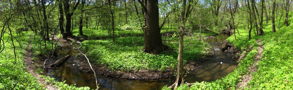 Комісарівка з panoramio.com - Комиссаровка