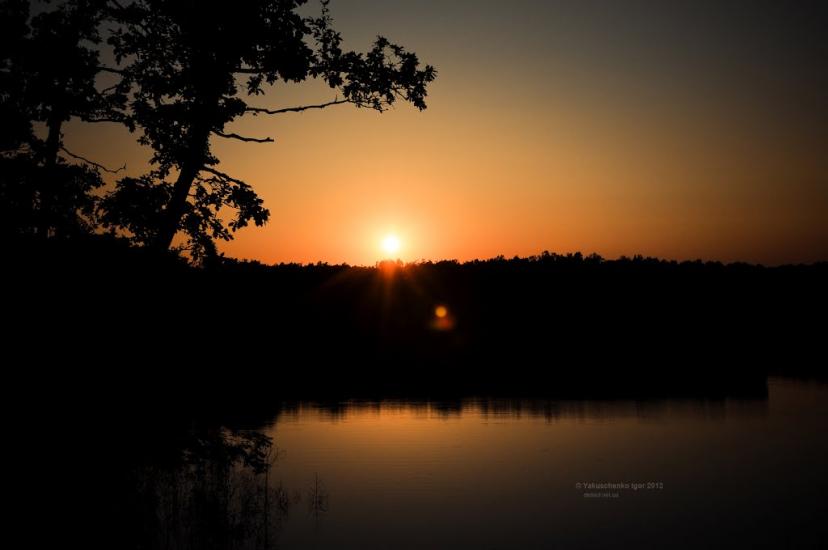 Черепашинці з panoramio.com - Cherepashyntsi