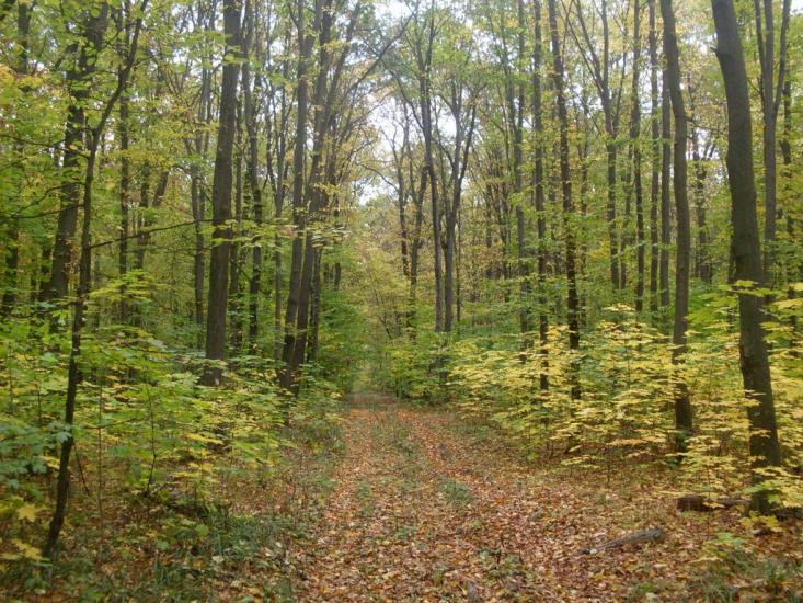 Кисляк з panoramio.com - Kyslyak