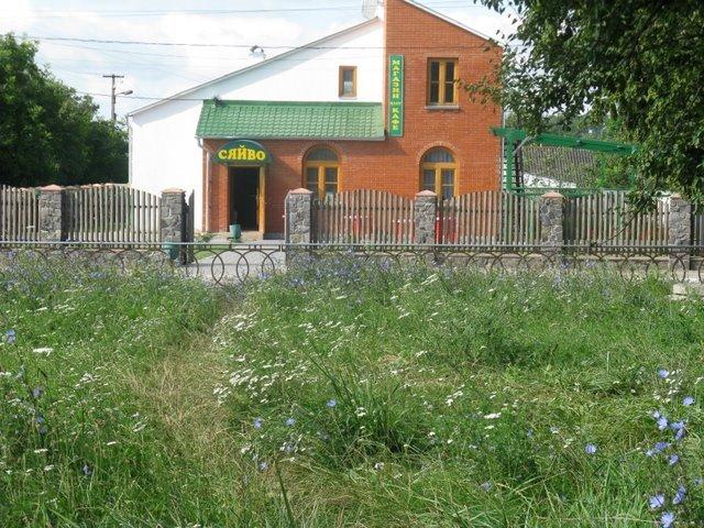 Мар'янівка з panoramio.com - Мар'янівка