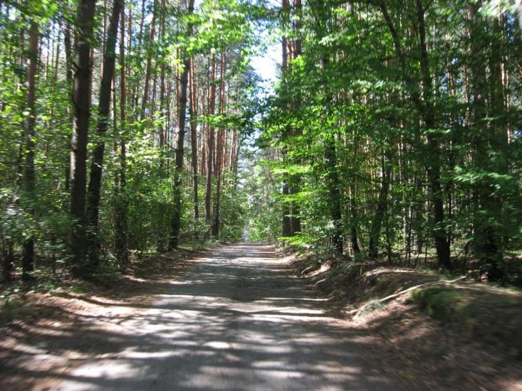 Візня з panoramio.com - Візня